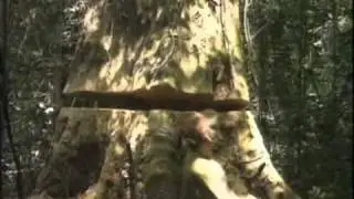 Earthlings Deleted Scenes (World Hunger)