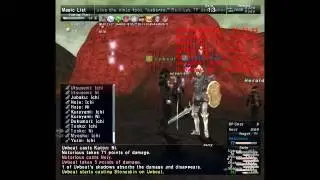 FFXI NIN/RDM(Terra's staff) vs PLD(Aegis + Burtgang)