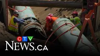 Poll on pipeline perspectives shows 3 in 4 Canadians support cross-country energy corridor