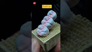 Posterior Anatomy| ceramic porcelain video| ceramic build up| how to Porcelain ceramic| dental video