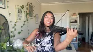 I'll Be There for You - The Rembrandts - VIOLIN COVER- Friends Theme  - San Francisco Violinist