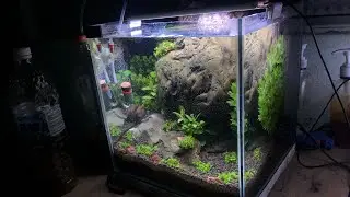 I Use one Big Rock For My Nano Cube Tank