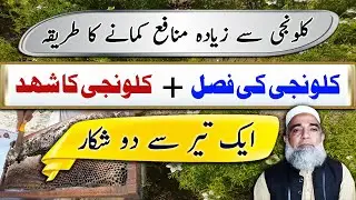 Multipurpose planting of Klonji / Black Seed || Crop Reformer