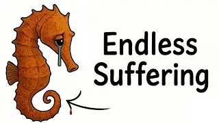 &ldquo;Why It Sucks to Be Born as a Seahorse | The Harsh Truth of Ocean Life&rdquo;