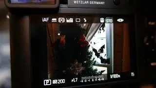 Leica D-Lux 8 100 Year new camera screen feature Bright spots blink flash black to white.