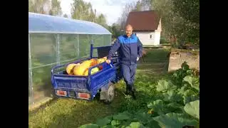 Деревенский блокнот. Батрак Денис.