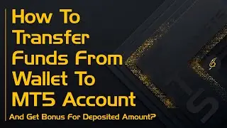 How To Transfer Funds From Wallet To MT5 Account And Get Bonus For Deposited Amount?