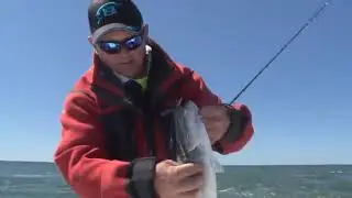 Bomber Lures Long A Slender Minnow Jerbait Fishing Lure