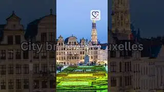 Descoperă Bruxelles #shorts