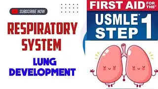 Lung development #Respiratory System 1 | First Aid USMLE Step 1 in Urdu/Hindi |
