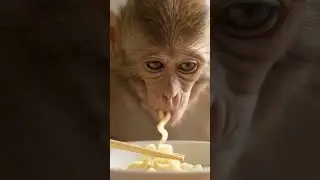 #baby #monkey #noodle #asmr