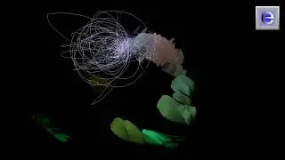 3D chillout 