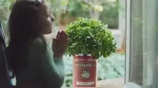 Kyknos - Akoma ki an