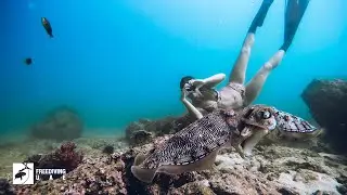 Freediving UAE - Deep Weekend 06.11.2020