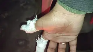 Patang Udan de Natije😲. #trending #viral #shorts #patang 