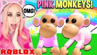 How I Found A PINK MONKEY In Adopt Me... Roblox Adopt Me Circus Update