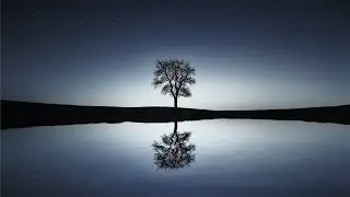 Ambient Evening | Calm & Focused Music