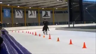 F1 Final Icehorse