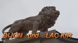 Dijon und Lac Kir