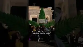 What you need to know about Cannabis in Germany