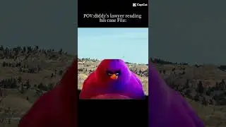 pov diiddys in cort #funny #memes #capcut #funnyimages #thestupids