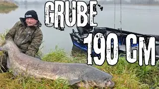 190cm Z ODRY! Chrzest nowej wędki na grubym sumie