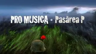PRO MUSICA - Pasărea P