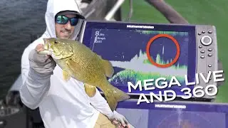 Catching Bass with MEGA Live w/ Bob Downey
