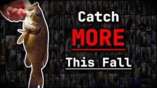 Fall Tips to KEEP FISH BITING!
