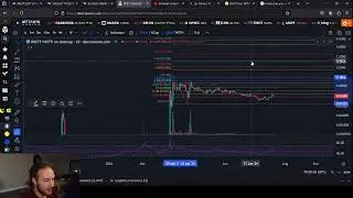 MEME COIN ANALYSIS: DOGE, BRETT, BILLY and STRUMP