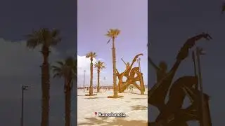 25 градуса и плажче в Барселона 🫶 Добре започва юни! #лято #Барселона #плаж