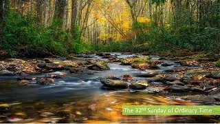 The Thirty-Second  Sunday in Ordinary Time 11-06-2022