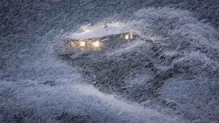 SEVERE DETROIT BLIZZARD | Extreme Snowstorm Sounds/Howling Winds & Winter Storm Ambience for Sleep