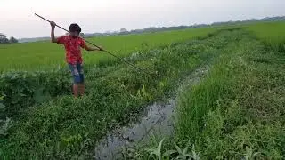 Amazing Kids Boy Fish Hunting Wild Style Cat Fishing Village