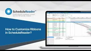 How to Customize Ribbons in ScheduleReader