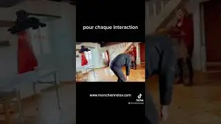 Coaching en comportement et &eacute;ducation canine