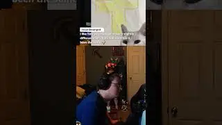 This is Original Content #shorts #hashbrown #original