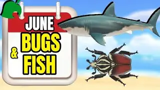 June Bugs & Fish Guide | Animal Crossing New Horizons (Northern Hemisphere)