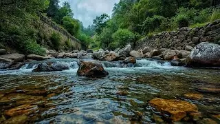 GENTLE RIVER FLOW SOUNDS ❗Water Stream ASMR For Sleep Relaxation And Stress Relief 😴 💦