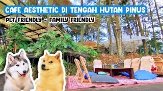 *HIDDEN GEM*  KE PUNCAK BOGOR ANTI MACET !! | PASIR ANGIN CAFE BOGOR  #petfriendly #familyfriendly