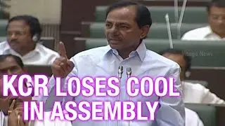 CM KCR asks TDP Leaders to SHUT UP in Telangana Assembly