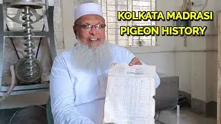 USTAD BABAR SIR TELLING US UNTOLD STORY OF MADRASI PIGEON