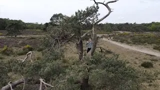 DJI Mavic Air 2 4K Footage - Huizen Netherlands