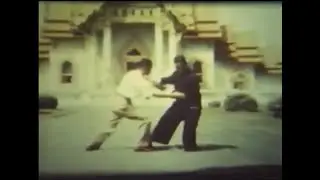 Мастер Дун Хулин (董虎岭老师 Dong Huling) &mdash; Туйшоу (Tuishou) 1953