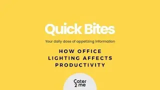How Office Lighting Affects Productivity