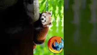 Firefox logo animal is not a fox. #shorts #technology #firefox