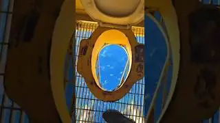 How Do Ship Workers Poop in the Middle of the Ocean? 🚢😳
