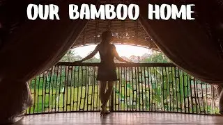 60 долларов за проживание в бамбуковой вилле &mdash; UBUD Travel Vlog