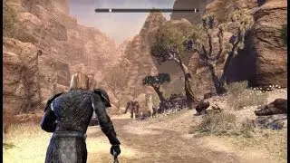 10 Best MMORPG's of All Time That Must Be Played