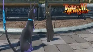 (TOCS3) Trails of Cold Steel III I Where is my Meowster? I Side Quest I Guide
